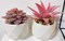 Artificial Succulent Plants in Pots Fake Potted Plant Mini Plants for Bedroom Home Bathroom Office Room Decor